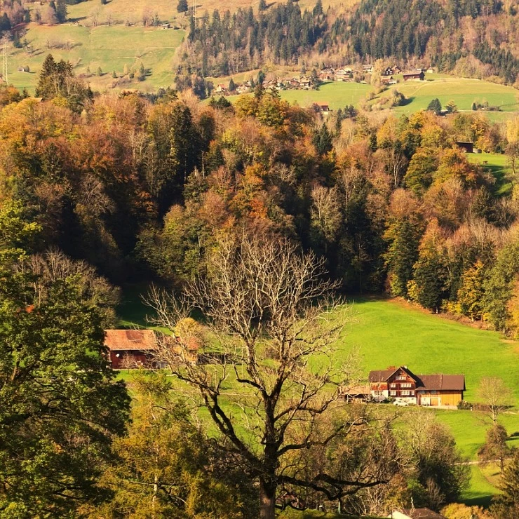 El relevo generacional encima de la mesa de la Eurocámara