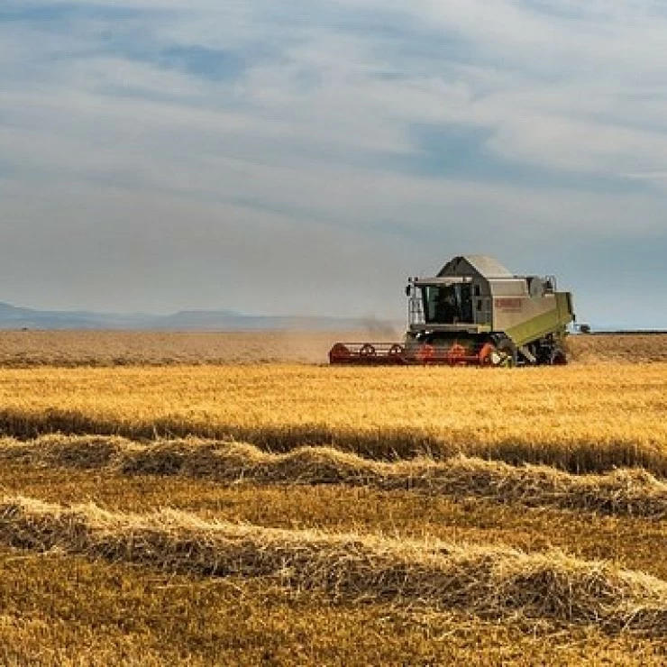 Revisión a la baja en la producción de cereales de la UE para el 23/24