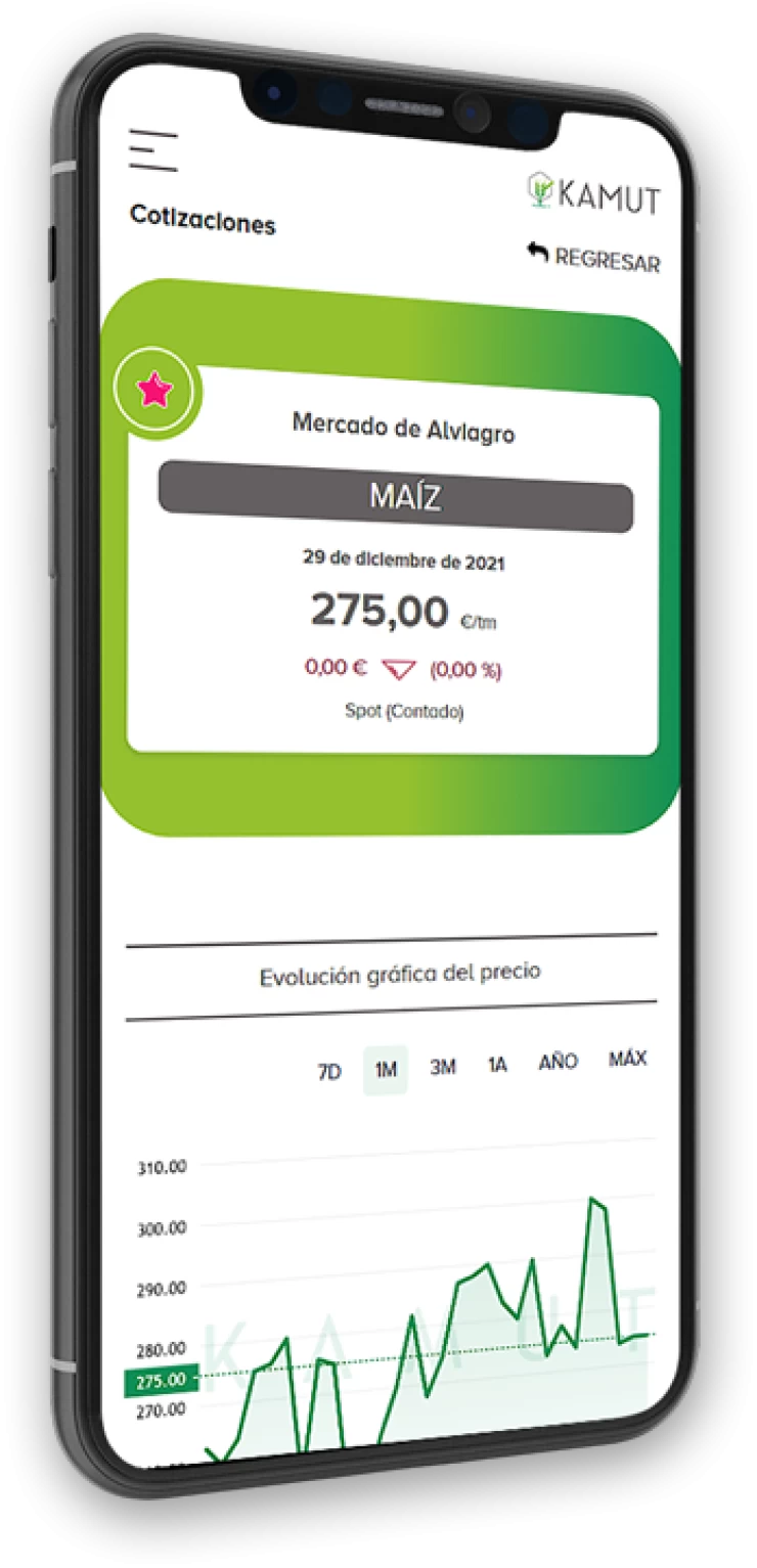 Kamut es una aplicación que actualiza diariamente la información de precio del cereal en España.