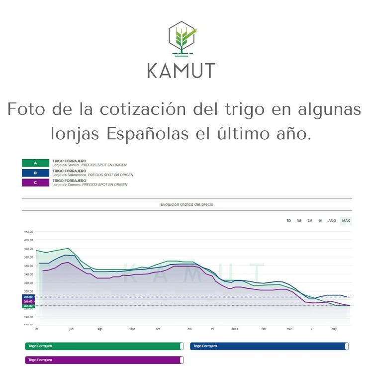 Foto de como cotiza el trigo esta semana en algunas lonjas como la de Zamora, Sevilla y Salama