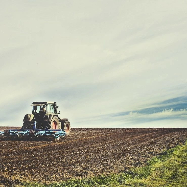 Medidas económicas de apoyo a la agricultura y a la ganadería