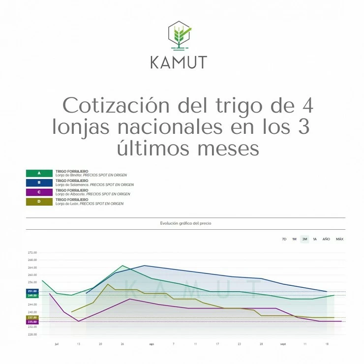 Semana plana en las cotizaciones de cereal en España